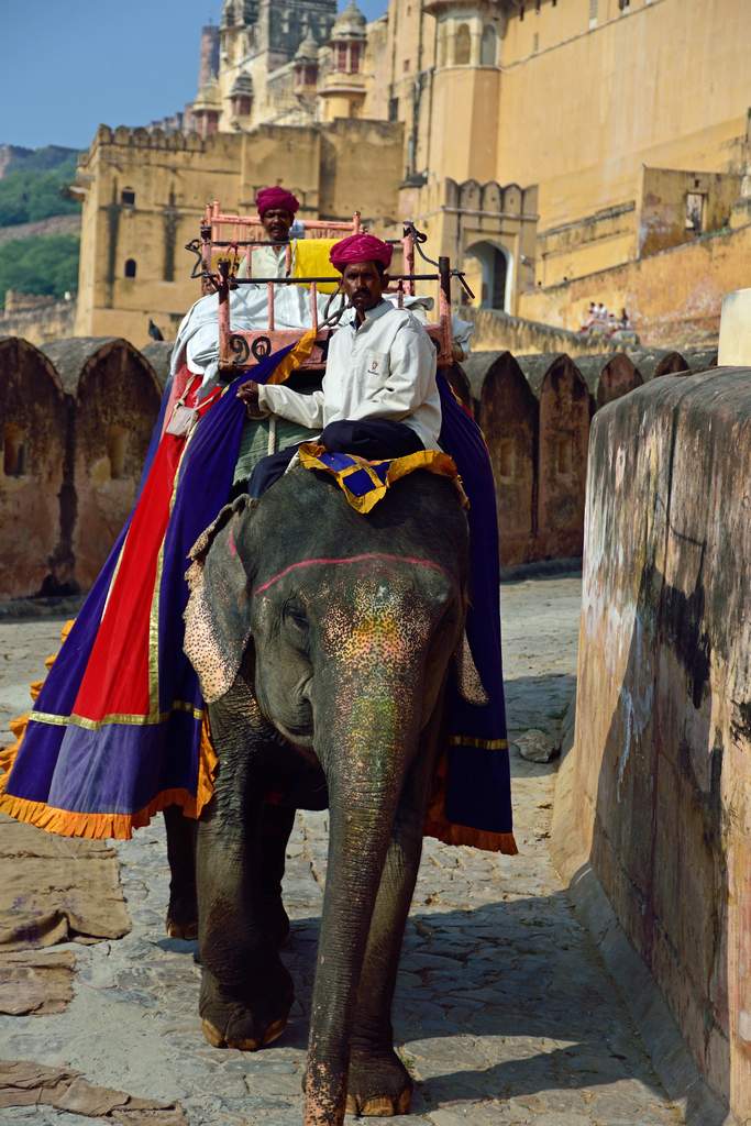 India_2016 (74)