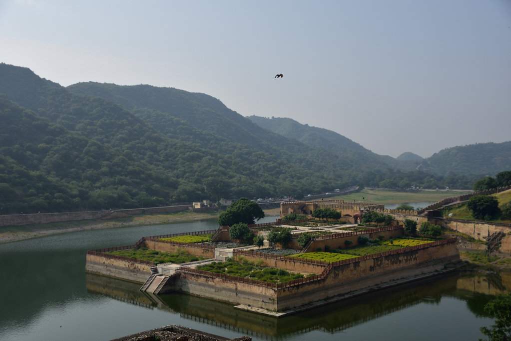 India_2016 (75)