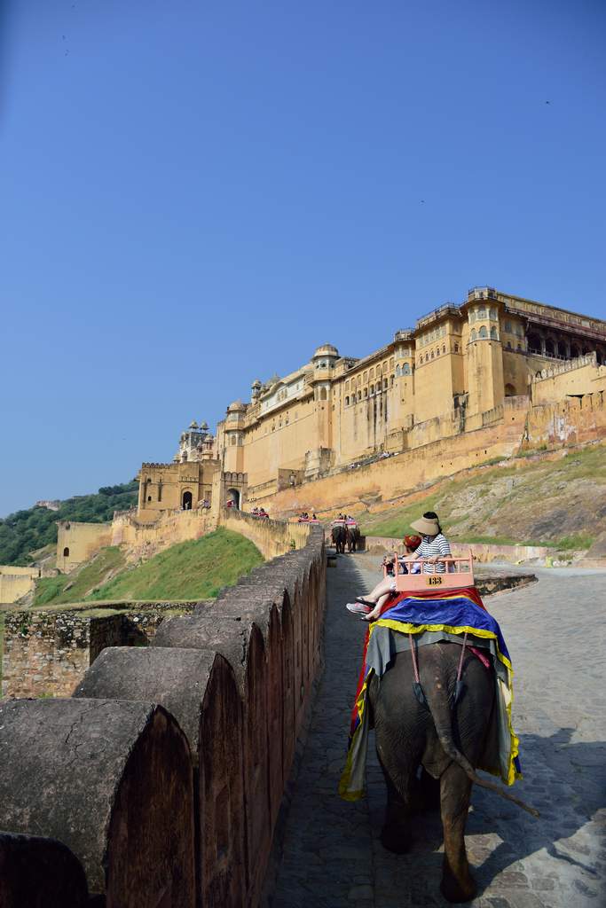 India_2016 (76)
