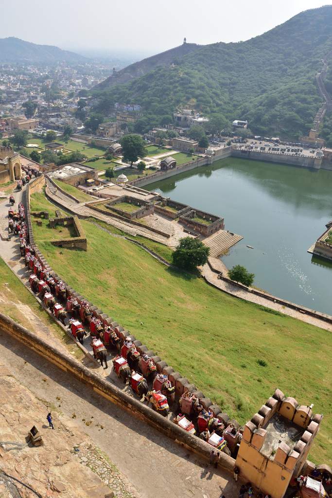 India_2016 (85)
