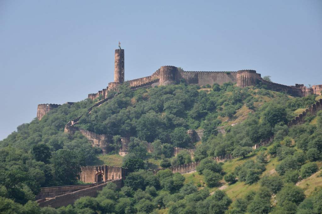 India_2016 (91)