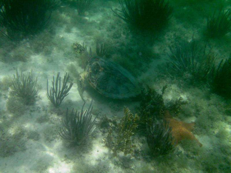 Isla Contoy