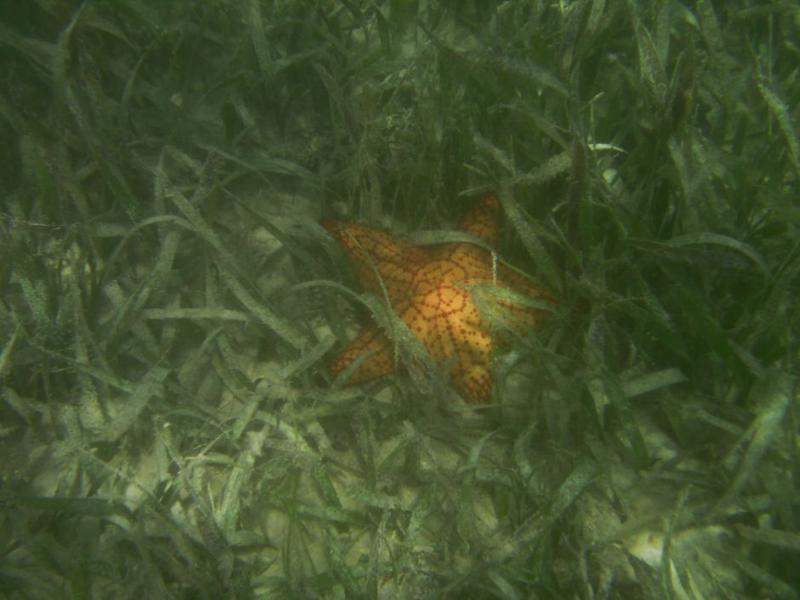 Isla Contoy