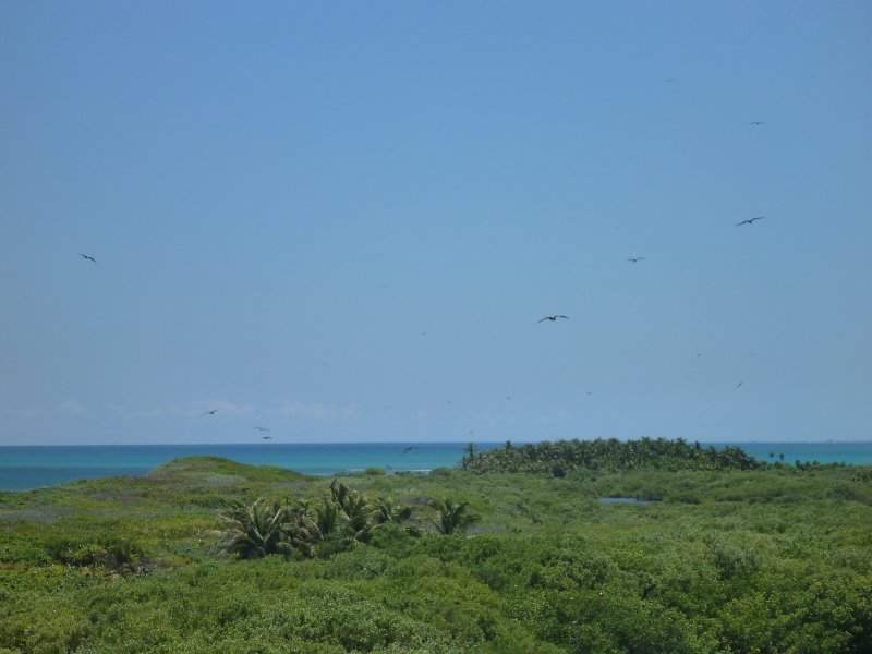 Isla Contoy