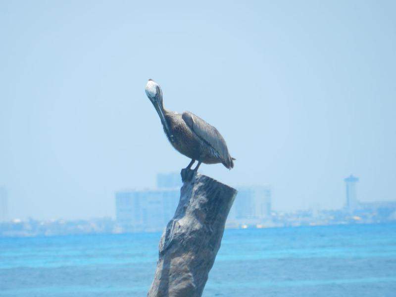 Isla Mujeres