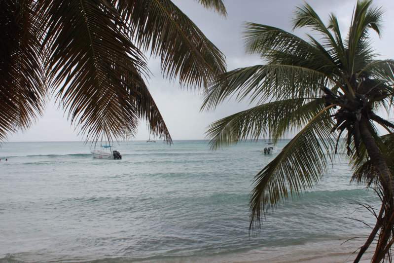 Isla Saona 1