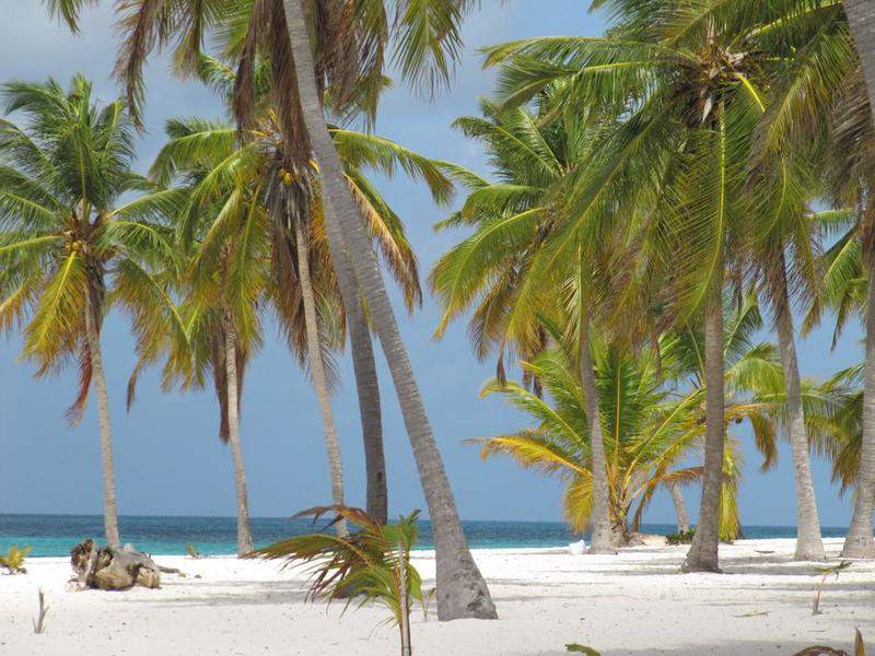 isla saona