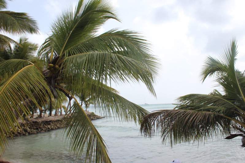 Isla Saona