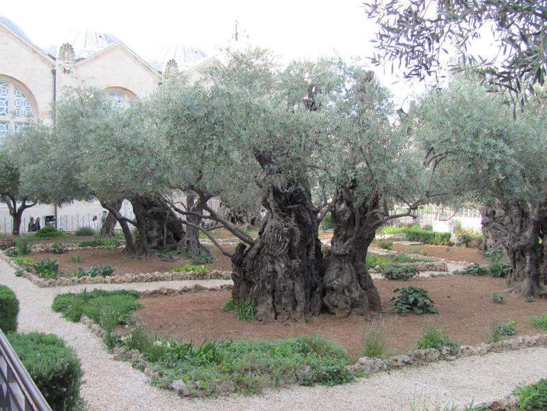 ISRAEL