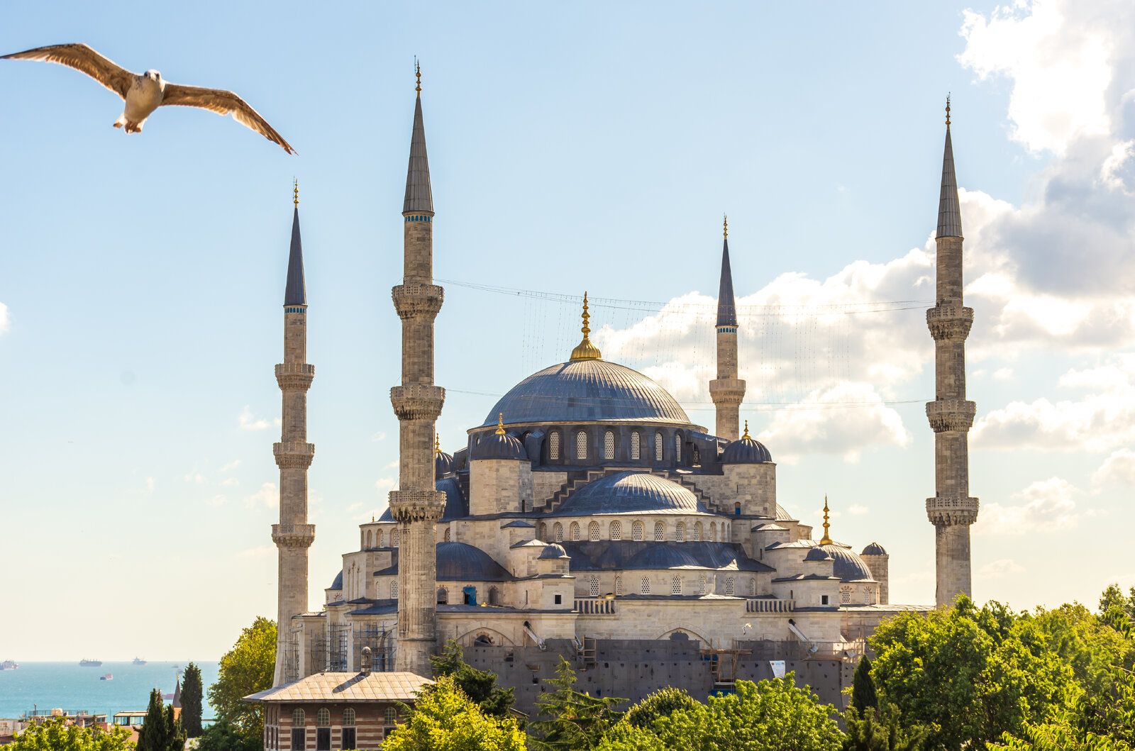 Istambul - Julho 2022 (135).jpg