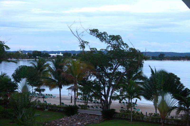 Jamaica (124) 800x533