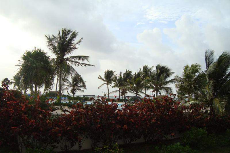 Jardim2