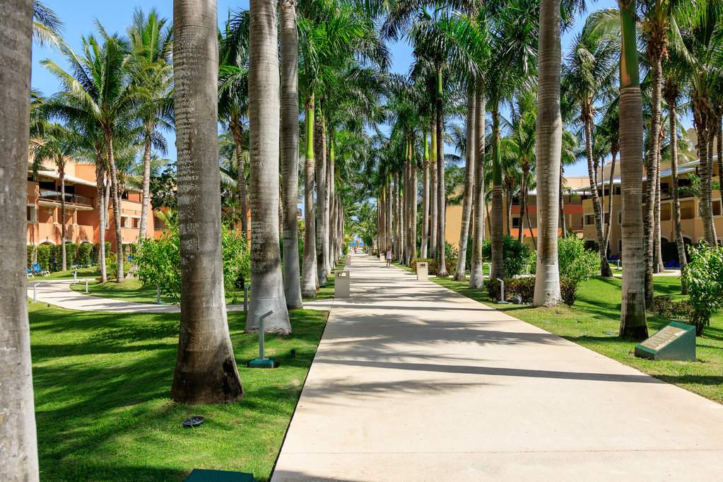 Jardim4