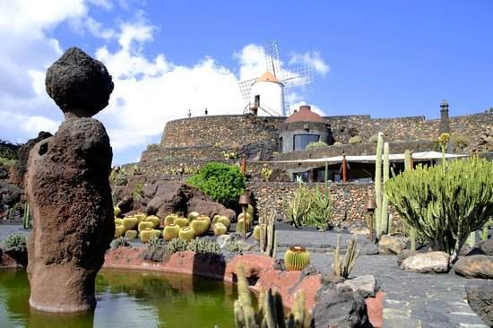 Jardin-de-cactus