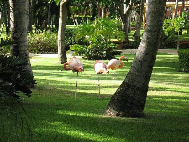 jardins