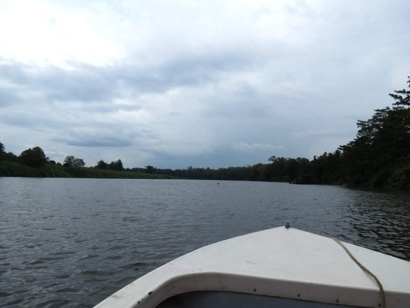 Kinabatangan River