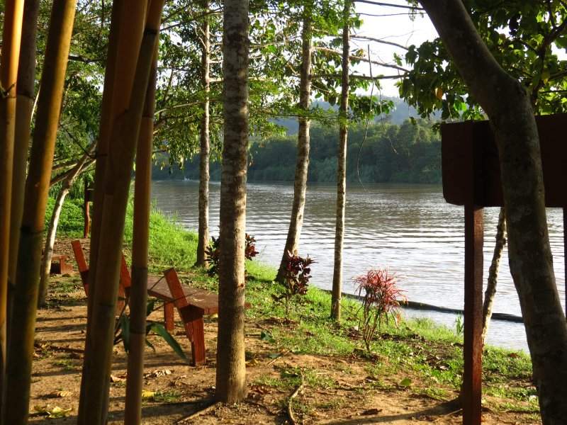 Kinabatangan River
