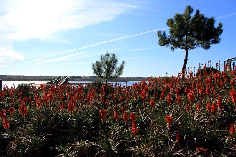 LAGO 080