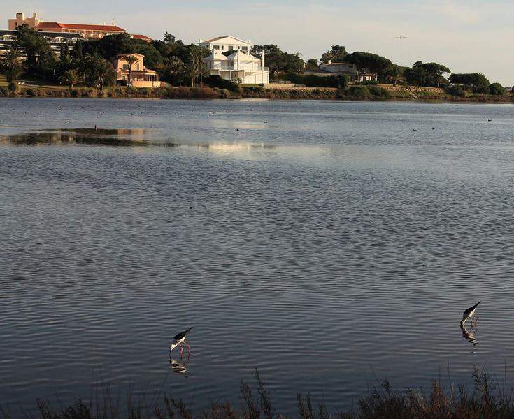 LAGO 2 095