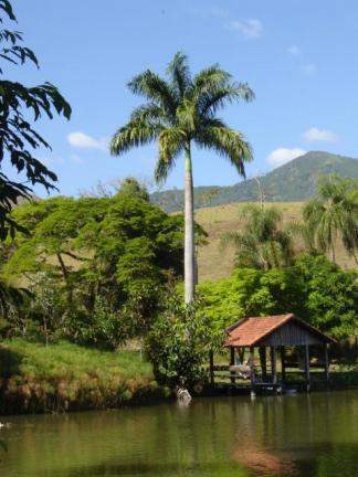 Lagoa