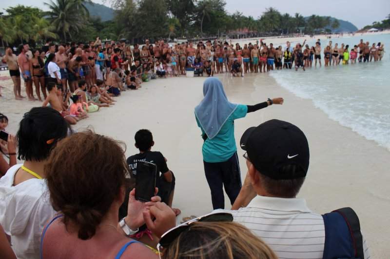 Largada de tartarugas recém-nascidas na praia