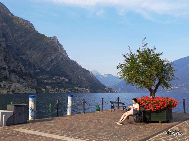 LimoneDSC00402 [640x480]
