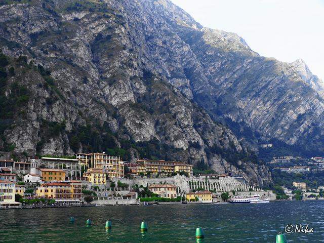 LimoneDSC00405 [640x480]