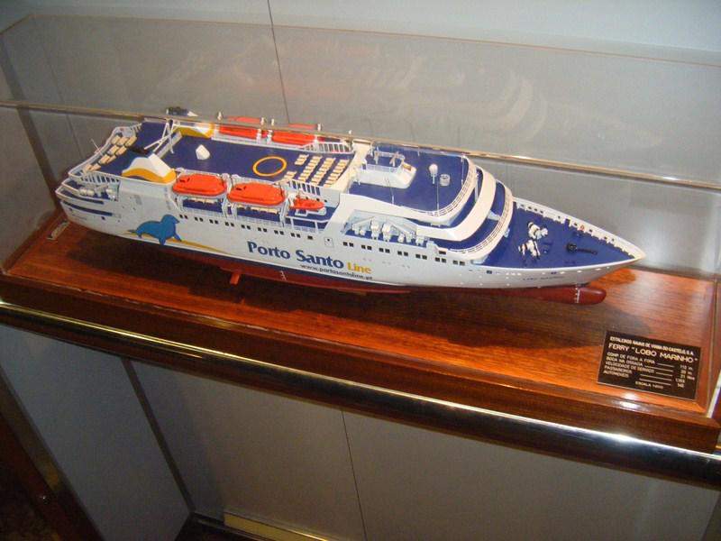 Lobo Marinho -  A Caminho de Porto Santo