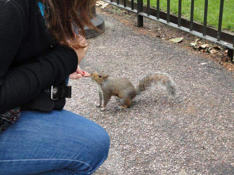 Londres  hyde park