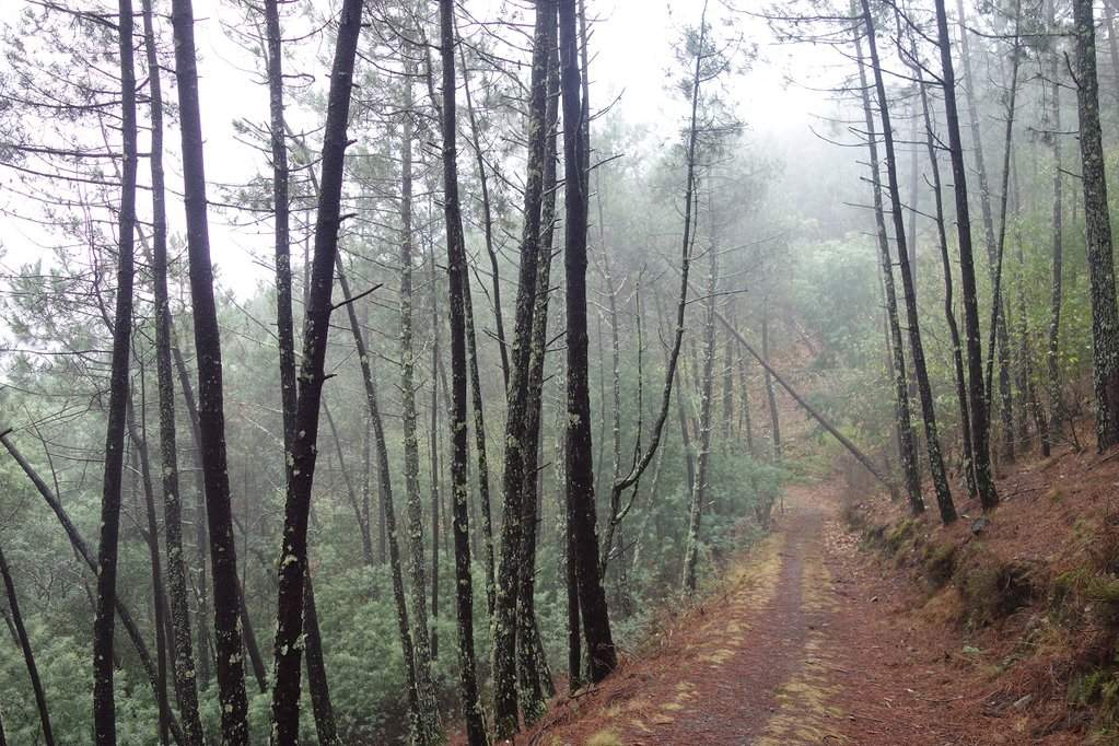 Lousã 15