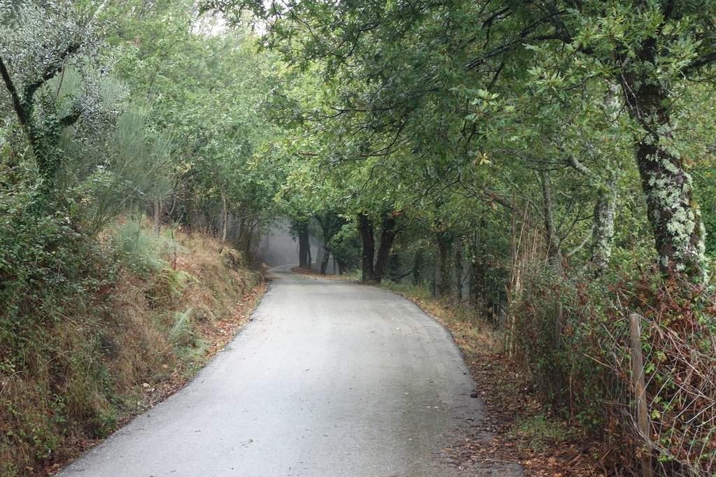 Lousã 20