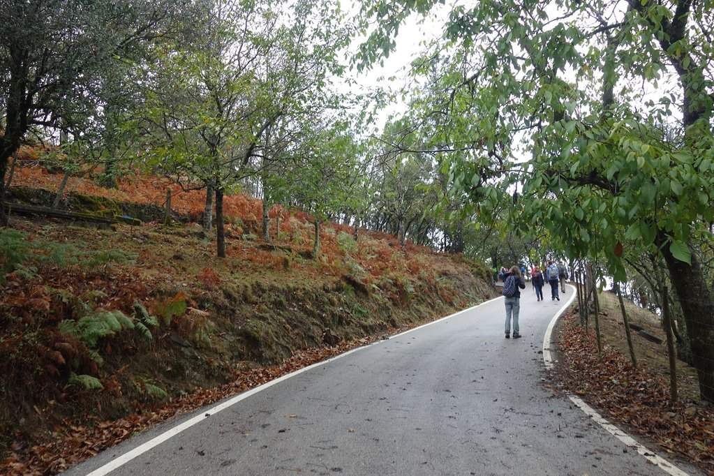 Lousã 25