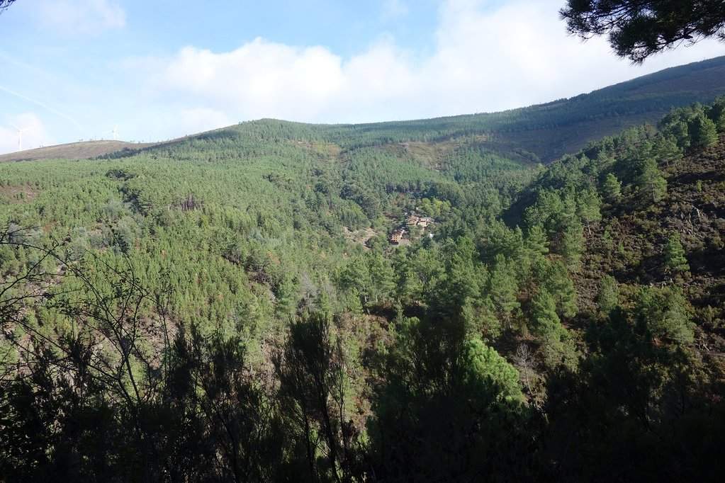 Lousã 45