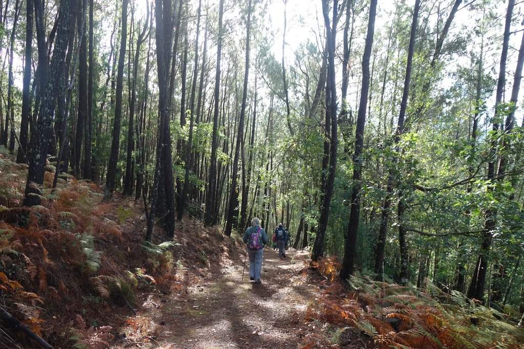 Lousã 46