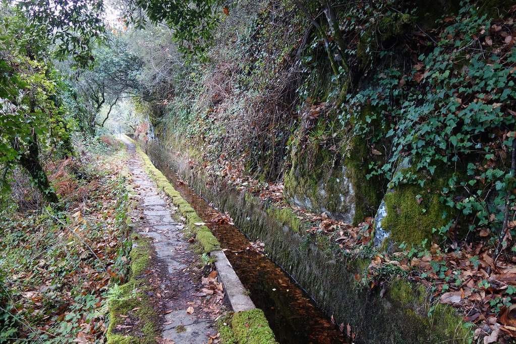 Lousã 55