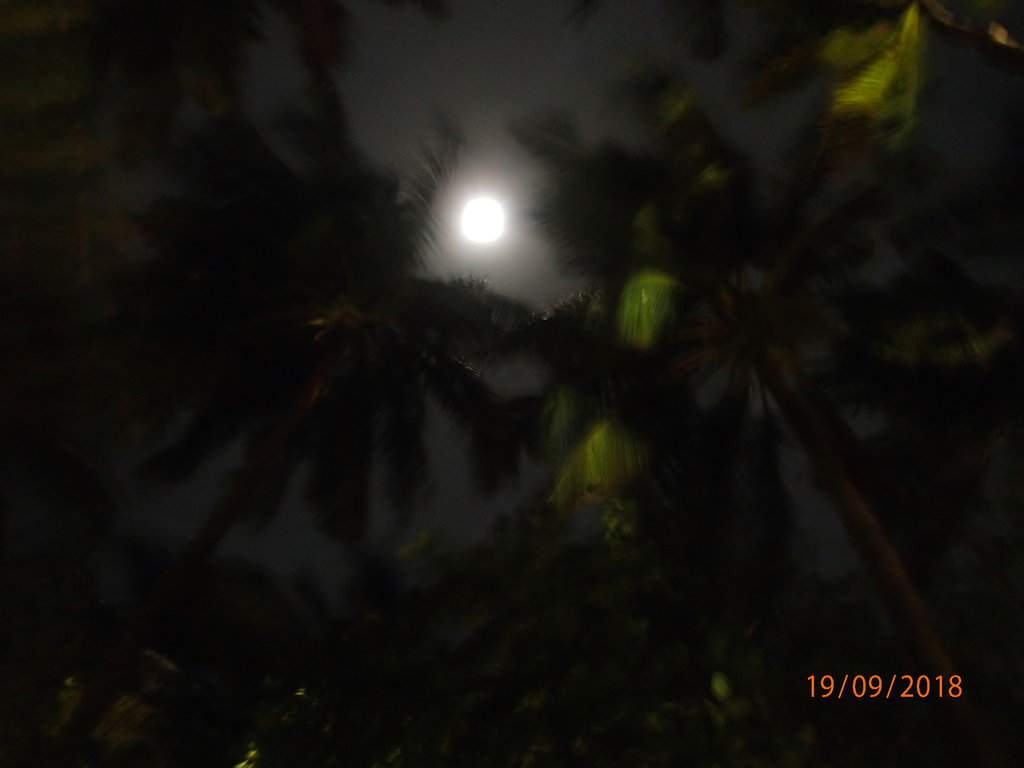 Lua à Noite