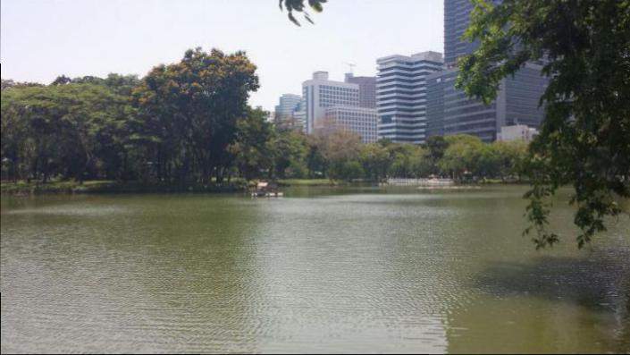 Lumphini Park (BKK)