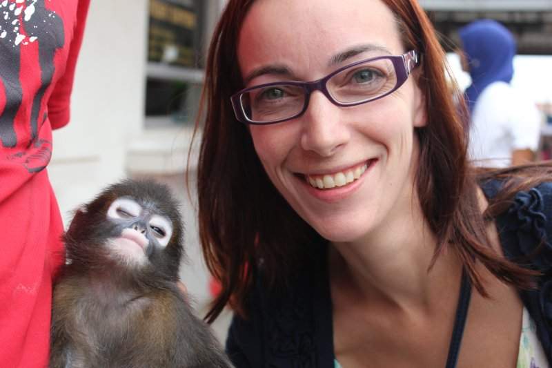 Macaquinho sonolento...
