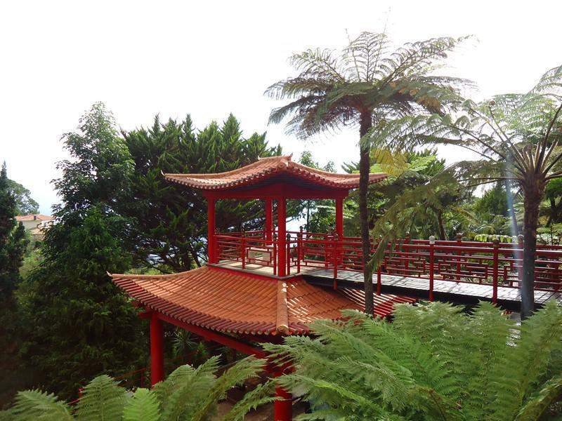 Madeira00023