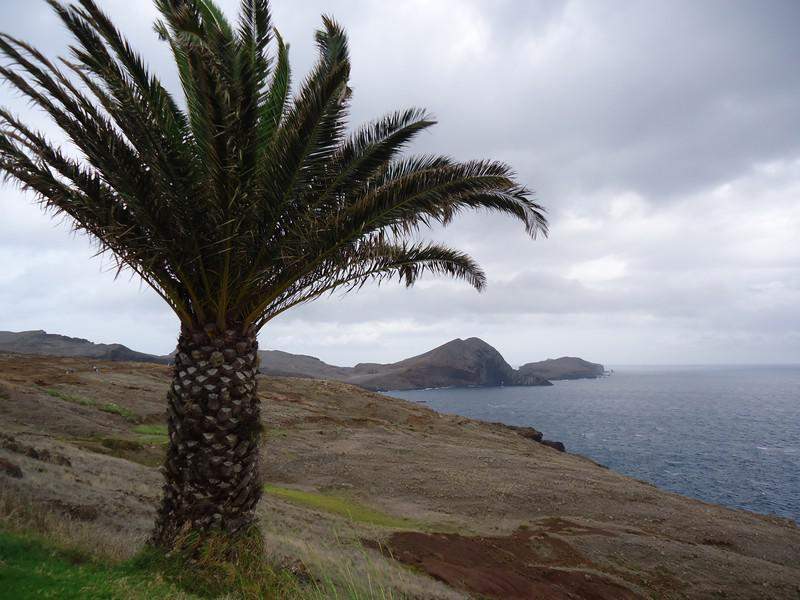Madeira00046