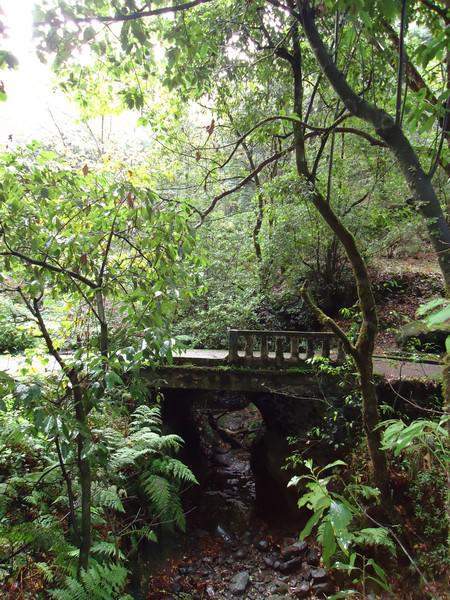 Madeira00059