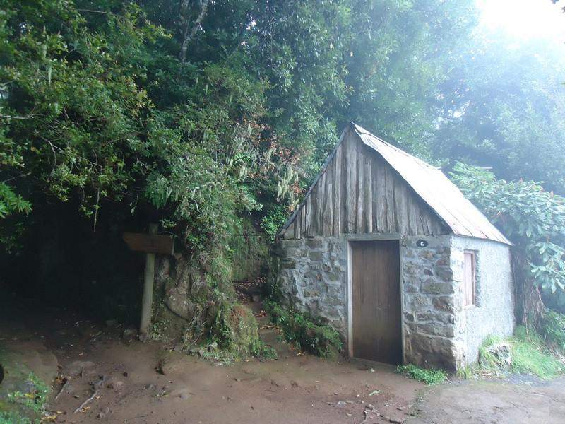 Madeira00060