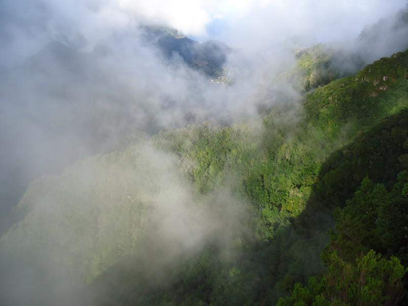 Madeira00062