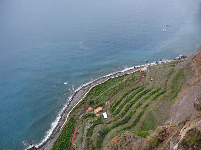 Madeira00081