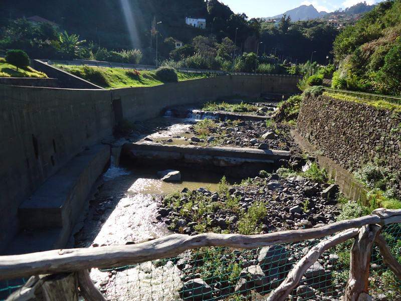 Madeira00085