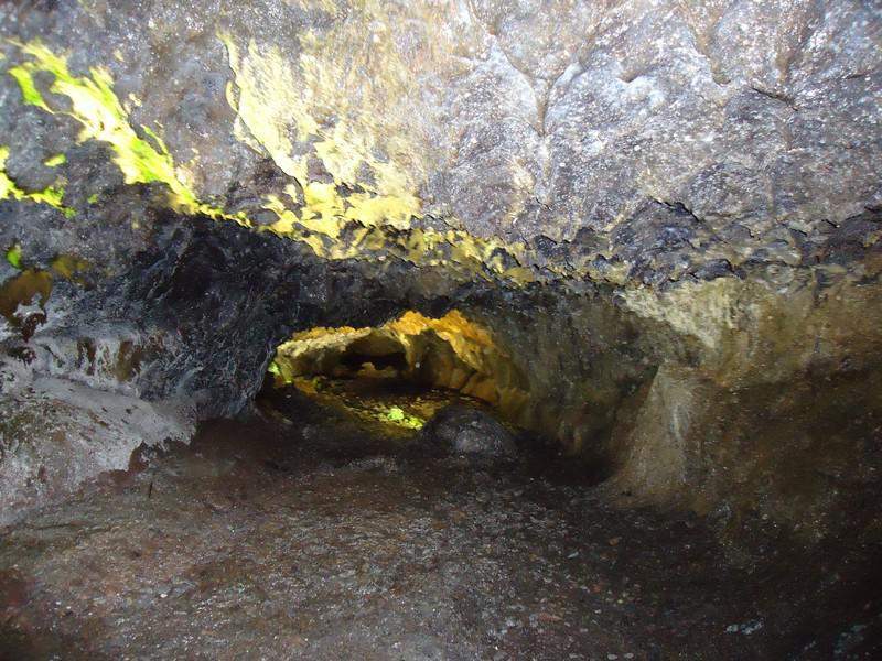 Madeira00086
