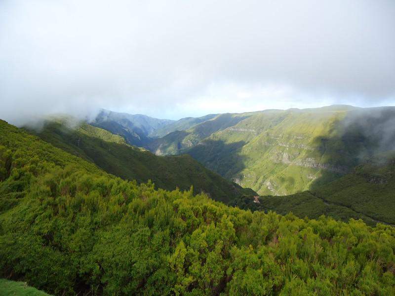 Madeira00115