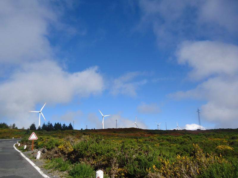 Madeira00117