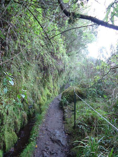 Madeira00125