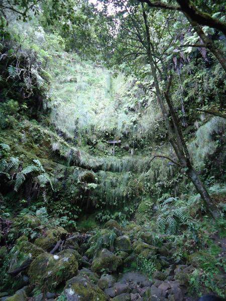 Madeira00127